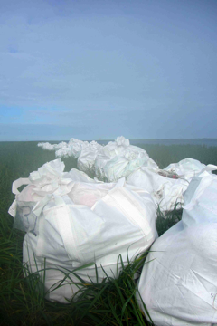 bags of plastic on a coast